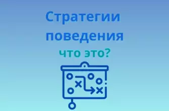 Стратегии поведения что это?